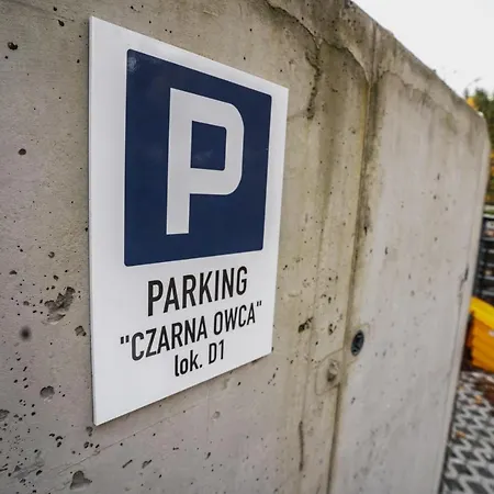 Διαμέρισμα Czarna Owca - Skrzyczne