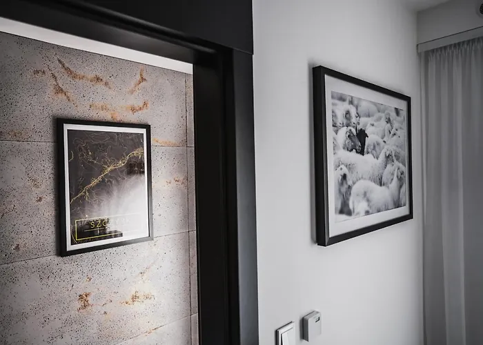 Czarna Owca - Skrzyczne דירה