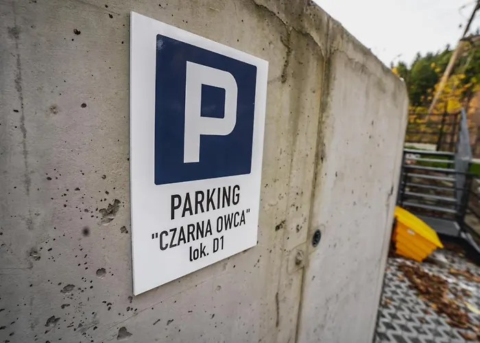 דירה Czarna Owca - Skrzyczne